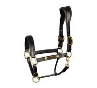 Anatomic leather halter for horses Harry's Horse