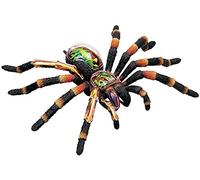 Anatomic Model, Spider Anatomical Model - Animal -33 Organs And Body Parts Medical Education Simulating Marine Organisms Anatomy Teaching