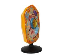 Anatomical Animal Cell Model with Removable Parts Classroom Demonstration Tool Biology Teaching Aid for Science Labs Anatomical Animal Cell Model