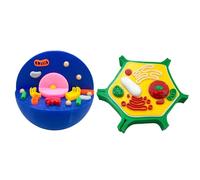Anatomical Animal Plant Cell Model Biology Classroom Teaching Animal and Plant Cell Model for Lab Biology Teaching Tool