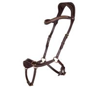 Anatomical bitless bridles QHP