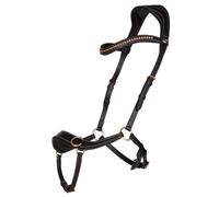 Anatomical bitless bridles QHP