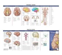 Anatomical Chart Company's Illustrated Pocket Anatomy: Anatomy of the Brain Study Guide