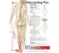 Anatomical Chart Understanding Pain