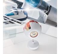 Anatomical Eyeball Model for Students with Realistic Detail, Available in 3x and 6x Magnification Levels (6-fold)