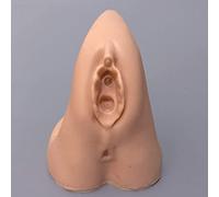 Anatomical Female Reproductive Body Model Demonstration Model Anatomy For Medical Practice Traniting Model Help for Nurs