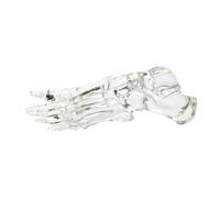 Anatomical Foot and Ankle Skeleton Model Clear Left Foot Joint Skeleton Model for Science Labs and Classroom Teaching PVC Foot Skeleton