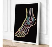 Anatomical Foot Study Canvas Wall Art Print 18x12 Inch (46 x 30 cm)