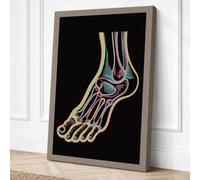 Anatomical Foot Study Canvas Wall Art Print 24x16 Inch (61 x 41 cm)