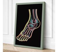 Anatomical Foot Study Canvas Wall Art Print 24x16 Inch (61 x 41 cm)
