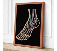 Anatomical Foot Study Canvas Wall Art Print 30x20 Inch (76 x 51 cm)