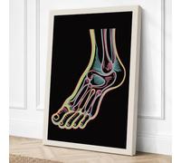Anatomical Foot Study Canvas Wall Art Print 30x20 Inch (76 x 51 cm)