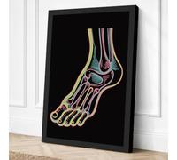 Anatomical Foot Study Canvas Wall Art Print 36x24 Inch (91 x 61 cm)