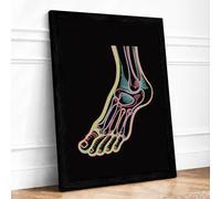 Anatomical Foot Study Educational Framed Wall Art Print A2 (59.4×42cm) Black, Wall Decor for Living Room, Bedroom, Office & Home, Ready to Hang, Art Gift