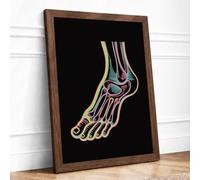 Anatomical Foot Study Educational Framed Wall Art Print A2 (59.4×42cm) Walnut, Wall Decor for Living Room, Bedroom, Office & Home, Ready to Hang, Art Gift