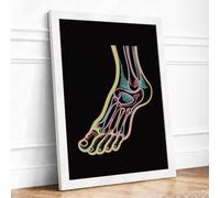 Anatomical Foot Study Educational Framed Wall Art Print A4 (29.7×21cm) White, Wall Decor for Living Room, Bedroom, Office & Home, Ready to Hang, Art Gift