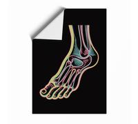 Anatomical Foot Study Educational Unframed Wall Art Print A3 (42×29.7cm), Wall Decor for Living Room, Bedroom, Office & Home, Art Gift