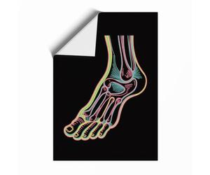 Anatomical Foot Study Educational Unframed Wall Art Print A3 (42×29.7cm), Wall Decor for Living Room, Bedroom, Office & Home, Art Gift