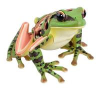 Anatomical Frog Model - 4D Vision Biological Science Training Aid For Education - Detailed Educational Model For Biology Studies