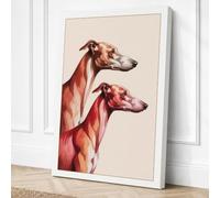 Anatomical Greyhounds Modern Canvas Wall Art Print 30x20 Inch (76 x 51 cm)