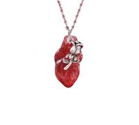 Anatomical Heart Organ Pendant Necklace Halloween Gothic Charm 3D Resin Blood Red Hearts Human Organs Medical Black Chain Necklace for Women Men Doctor Nurse Cosplay Party Fashion Jewelry Gifts, M