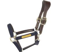 Anatomical horse halter nylon Kentucky