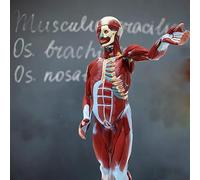 Anatomical Human Muscle Model - 1/2 Life Size Figure with 27 Removable Parts for Training and Teaching - 80Cm Educational Manikin