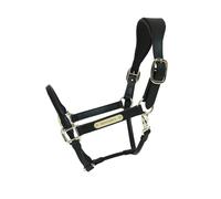 Anatomical leather halter Kentucky