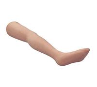 Anatomical Leg Model for Acupuncture Training