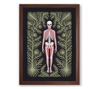Anatomical Memento Mori Art Deco Framed Wall Art Print A3 (42×29.7cm) Walnut, Wall Decor for Living Room, Bedroom, Office & Home, Ready to Hang, Art Gift