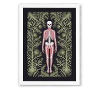 Anatomical Memento Mori Art Deco Framed Wall Art Print A4 (29.7×21cm) White, Wall Decor for Living Room, Bedroom, Office & Home, Ready to Hang, Art Gift