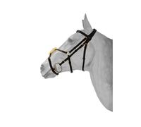 Anatomical Mexican double-breasted snaffle bridle HFI