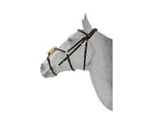 Anatomical Mexican double-breasted snaffle bridle HFI