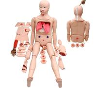 Anatomical model, 24 Wound Modules Anatomical Human Model Advanced Trauma
