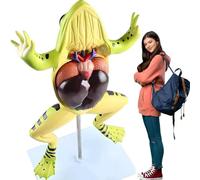 anatomical model, Frog Anatomical Model, Detachable Animal Skeleton Organ Anatomy