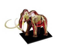 Anatomical Model Mammoth Animal Anatomy Assembly Model Body Parts Anatomical Model Kit 4d Vision Removable Organs Teaching Model