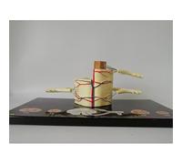 Anatomical Model of The Spinal Cord Nerve-5 Times-Nerve Branches, Spinal Ganglion and Blood Vessels for Medical Demonstrations