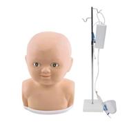 Anatomical Models Human Body, Infant Head Injection Figure Model for Anatomy Study Tools, Realistic Vascular System for Practice, Anatomy and Physiology Study Tools