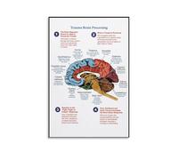 Anatomical Poster Trauma Brain Processing Posters Canvas Wall Art Decorative Bedroom Modern Home Print Picture Artworks 08x12inch(20x30cm)