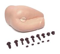 Anatomical Rectal Examination Training Model with 13 Diseases & 9 Stool Types, Realistic Adult Figure Model for Anatomy Study Tools and Human Body Education