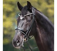Anatomical riding bridle Kavalkade Fleur