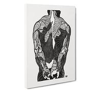 Anatomical Study Of A Man Vol.2 By Reijer Stolk Canvas Print | Gallery Wrapped 30mm Frame Wall Art | 30x20 inches | Ready to Hang | Classic People Picture | Living Room Bedroom Lounge Office