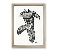 Anatomical Study Of A Man Vol.7 By Reijer Stolk Classic Painting Framed Print | A3 Oak Framed Wall Art | Ready to Hang | Classic Historical Picture | Living Room Bedroom Lounge Office