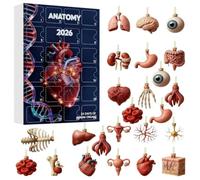 Anatomie-Adventskalender - 24 Acryl-Anhänger, Medizin-Deko, Bunt | 24 Tage Weihnachts-Countdown, 2D-Acryl Anatomie-Anhänger, Für Mediziner & Sammler, Ideal Für Home & Büro, Hochwertiges Acryl