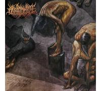 ANATOMIZE - SYSTEMATIC TORTURE