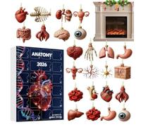 Anatomy advent-calendarr 2026 - 24 Pcs Science Set | 2D Flat Acrylic Human Body Skeleton Heart Brain Pendants Countdown Set for Doctors Medical Desk Wall Decor