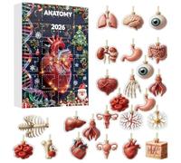 Anatomy Advent Christmas Calendar 2026 24Pcs Human Body Organ Ornaments | 24 Days 2D Acrylic Anatomy Pendants Christmas Countdown Calendar 2026 for Medical Students Science Enthusiasts