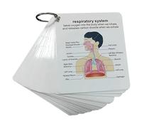 Anatomy and Physiology Flash Cards with Rings Human Anatomy & Physiology Study Tools Medical & Nursing Learning Guide Medical Nursing School