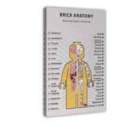 Anatomy Art Poster 3 Canvas Poster Bedroom Decor Landscape Office Room Decor Gift 08x12inch(20x30cm)