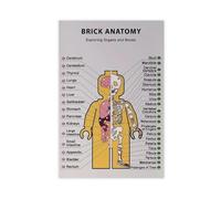 Anatomy Art Poster 3 Canvas Poster Bedroom Decor Landscape Office Room Decor Gift 08x12inch(20x30cm)